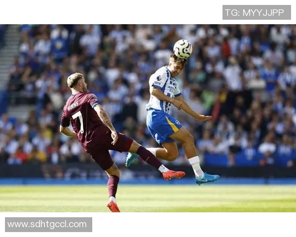 布莱顿对阵狼队赛事分析与推荐策略详解 布莱顿对阵狼队赛事分析与推荐策略详解